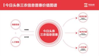 一键查询农产品行情 今日头条以信息技术咨询服务提升三农信息服务效率